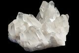 Massive, Wide Quartz Crystal Cluster - Large Crystals! #212494-5